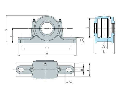 SN600 jiantu.jpg